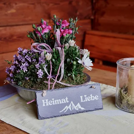 Naturhaus Luminus Appartement