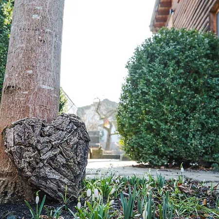 Naturhaus Luminus * Bad Aibling